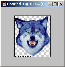 The wolf
